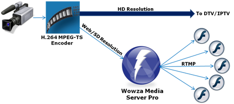 Grubbasoftware Truegrain V1 1 7-fosi