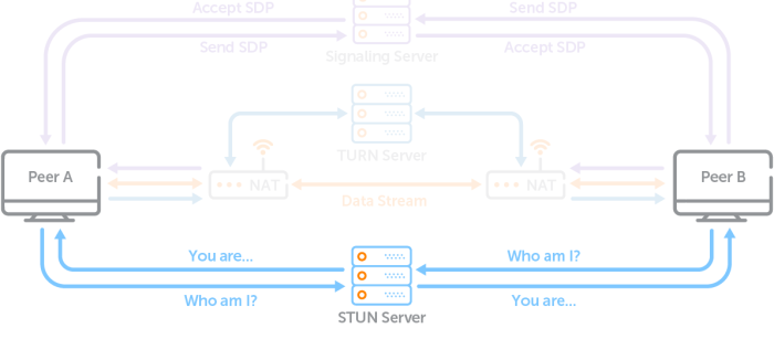 WebRTC Server: What It Is And Why You Need One | Wowza